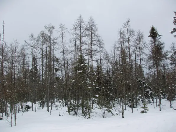 Off Highway Acres #182-40, Park Falls, WI 54552