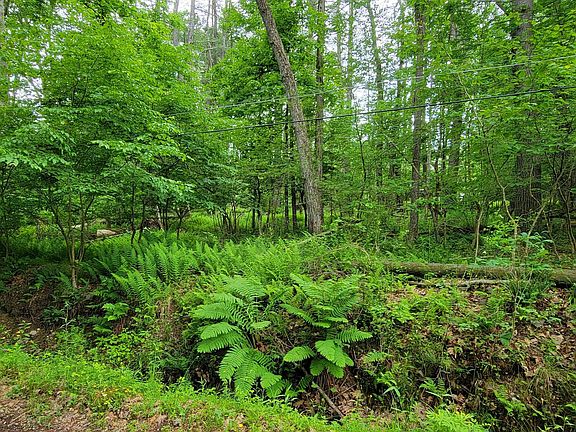 3rd image of 159 Lake Country Ln