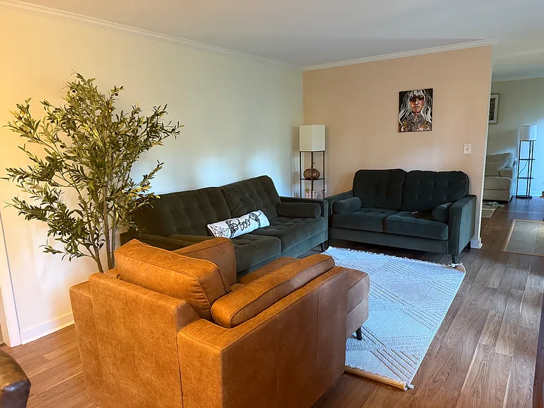 702 E Pinetree Blvd — Photo 16