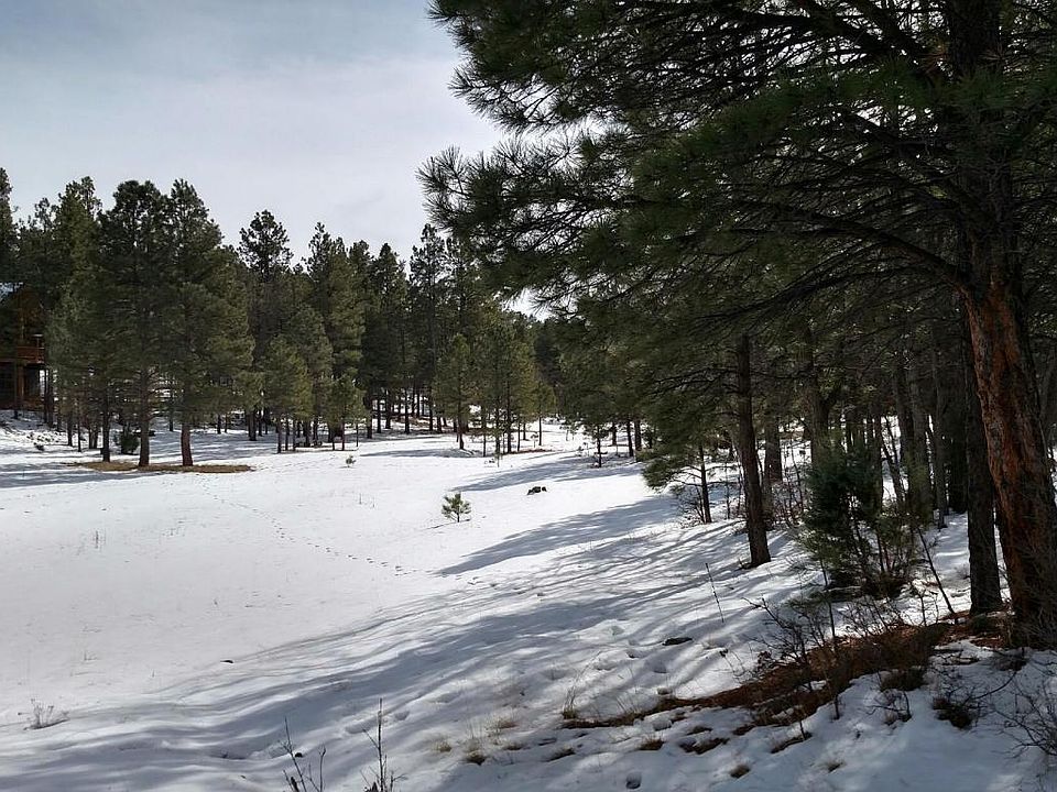 2nd image of 4462 Horseshoe Dr