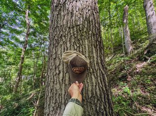 0 Shortline Hwy LOT WP001, Reader, WV 26167