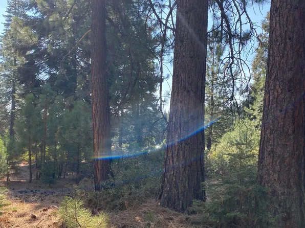 177 Ponderosa Pine Ln, Westwood, CA 96137