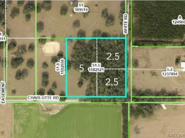0 White Rd, Brooksville, FL 34602