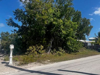 31145 Hibiscus Dr, Big Pine Key, FL, 33043