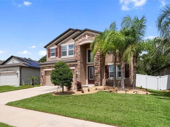 11438 ACACIA GROVE LANE, RIVERVIEW, FL 33579