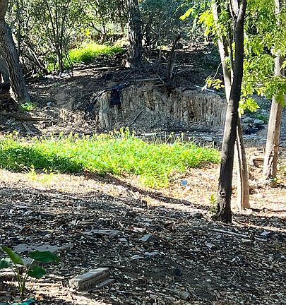 5th image of 3485 Old Topanga Canyon Rd