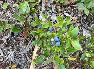 35412 Big Traverse Bay Rd, Lake Linden, MI 49945