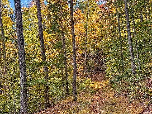 5th image of Beckys Creek Rd