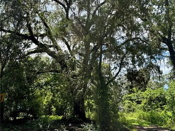 Lot 28 SW 109 LANE LOT 28, DUNNELLON, FL 34432