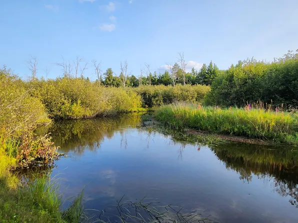 36 Ausable River Trl, Roscommon, MI 48653