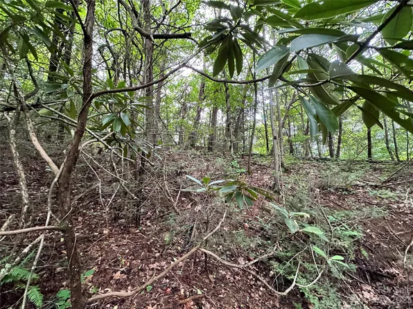 Laurel Dr, Canton, NC 28716