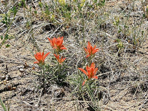 4th image of Baldy Canyon Rd