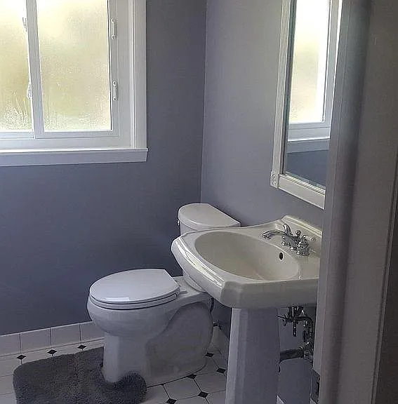 Lower Bathroom and standing shower