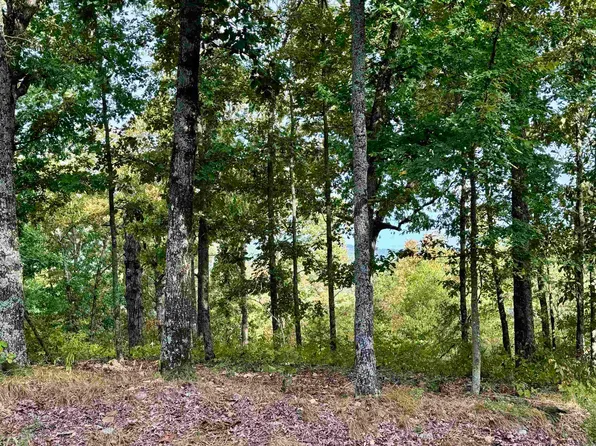 1&5 Ripplin Ridgetop Rd, Melbourne, AR 72556
