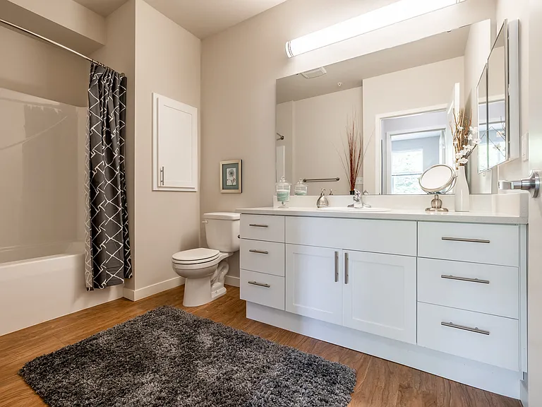Model Home Bathroom
