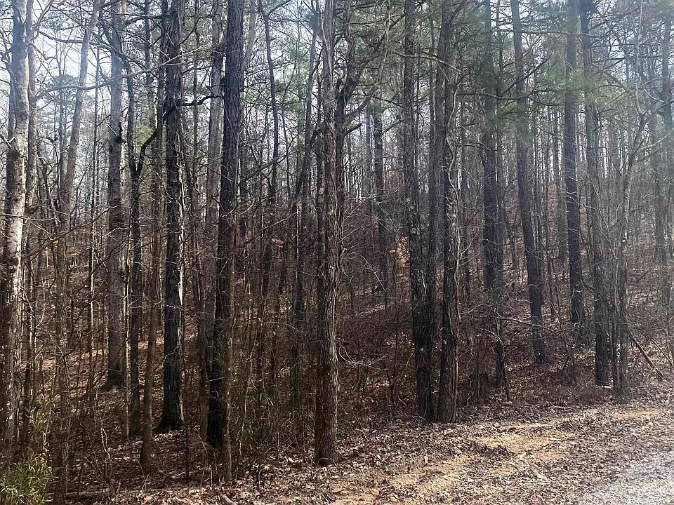 2nd image of 419 Cross Creek Dr