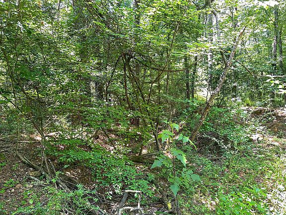 4th image of 1395 Phillips Springs Rd
