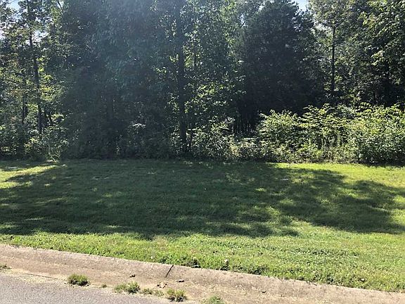 3rd image of 2031 Sugarwood Dr