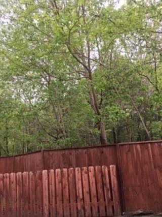 2nd image of 904 N Montgomery St APT 70