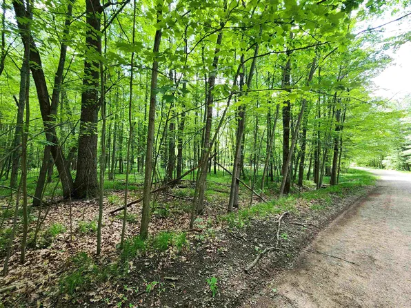 LOT 1118 White Birch Ln, Farwell, MI 48622