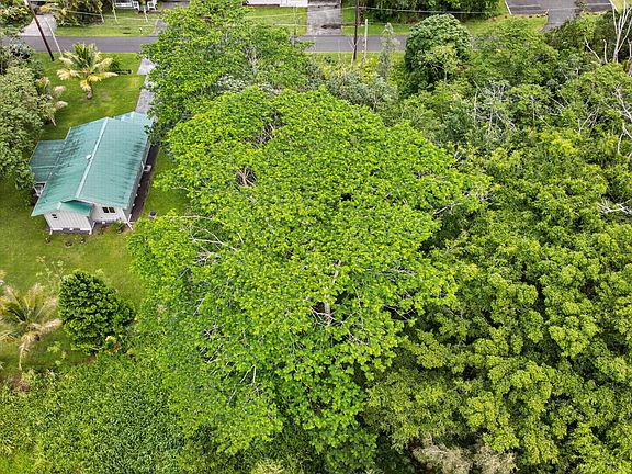 2nd image of Honu St Lot 327
