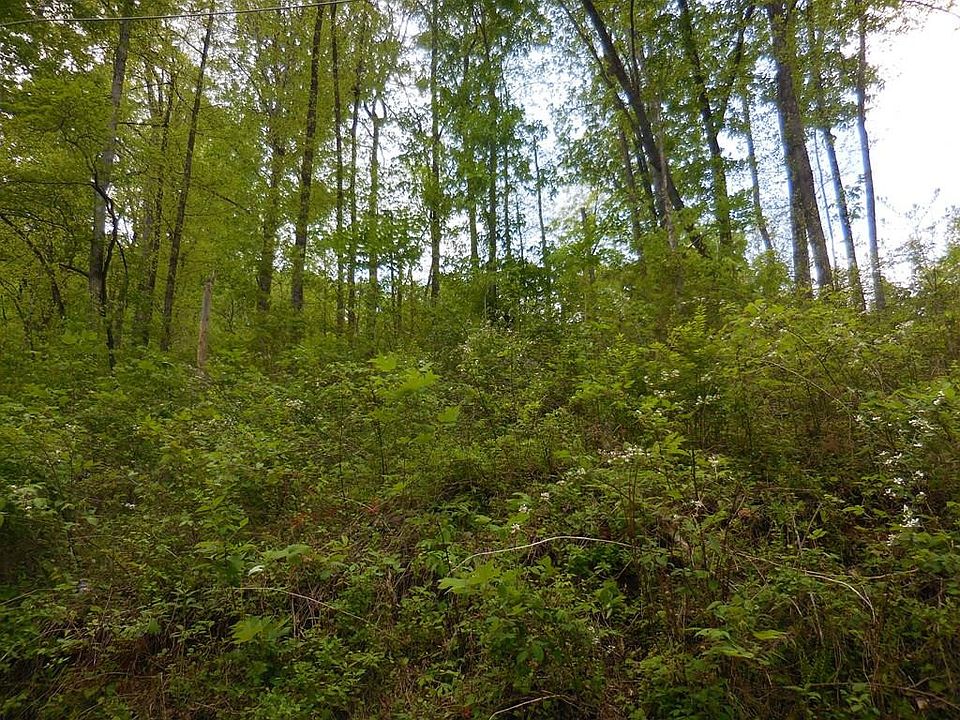 1st image of LOT 12 Lonesome Pine Way