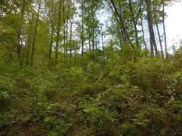 LOT 12 Lonesome Pine Way, Sevierville, TN 37862