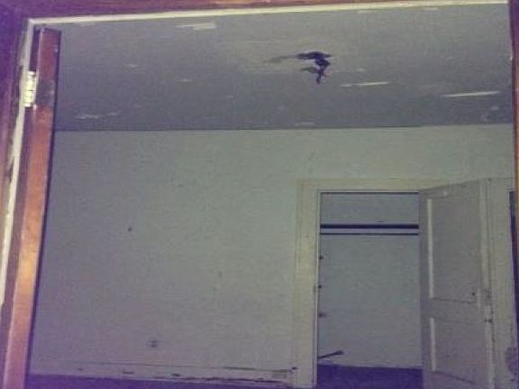 5th image of 1046 Stonewall St