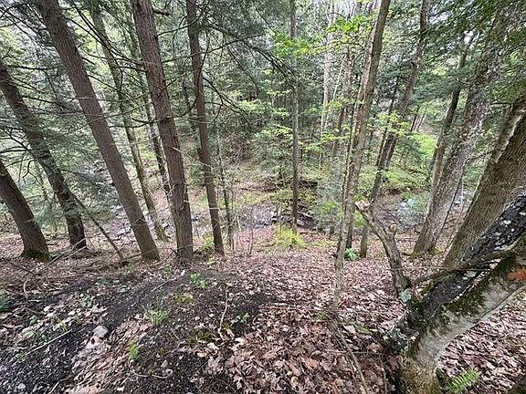 4th image of 116 Oregon Rd