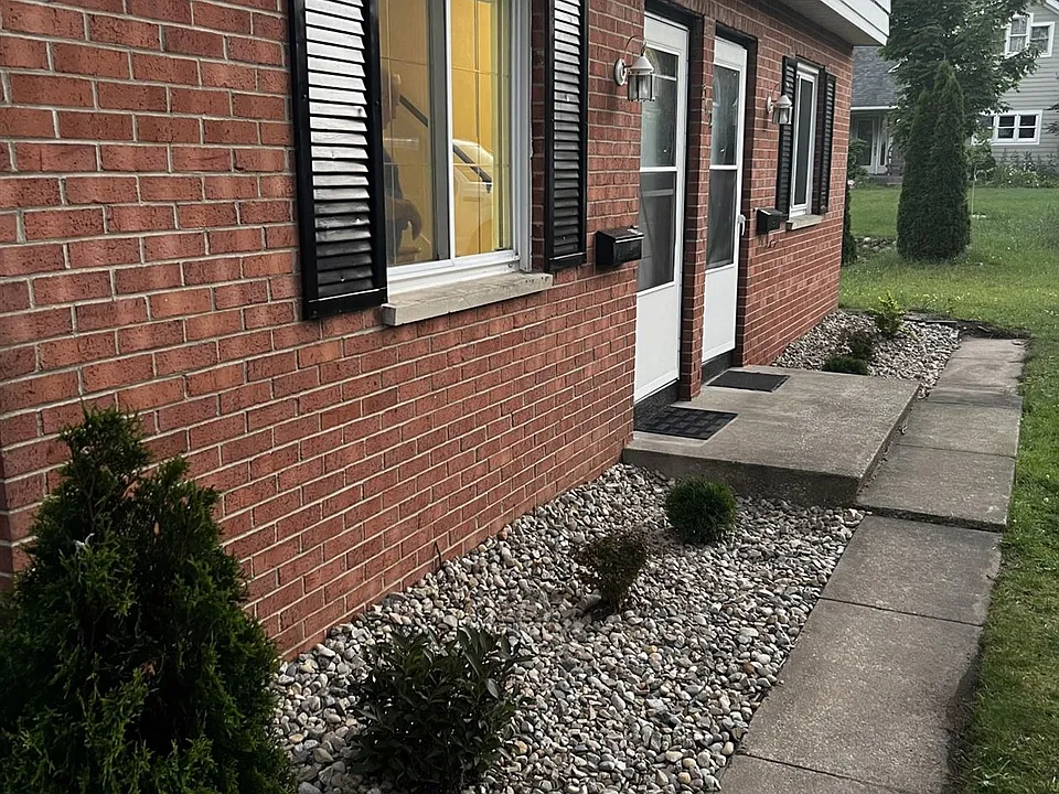 Image (1)