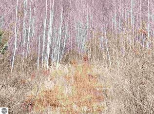 5404 W Bradford Rd, Shepherd, MI 48883