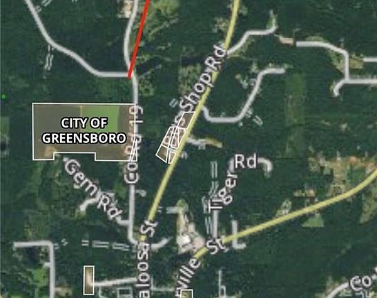 4th image of 531 Dogwood Ln