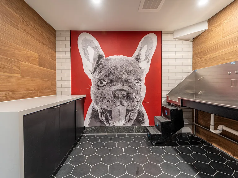 Pet spa