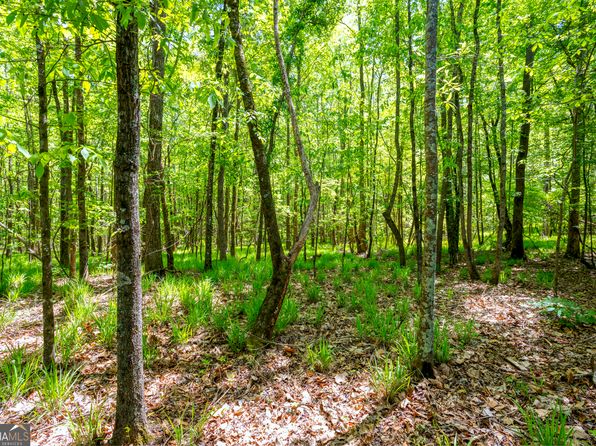 /george Smith, Talbotton, GA 31827