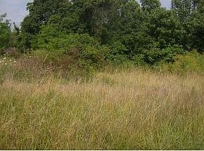 2nd image of 421 Berry Ridge Rd