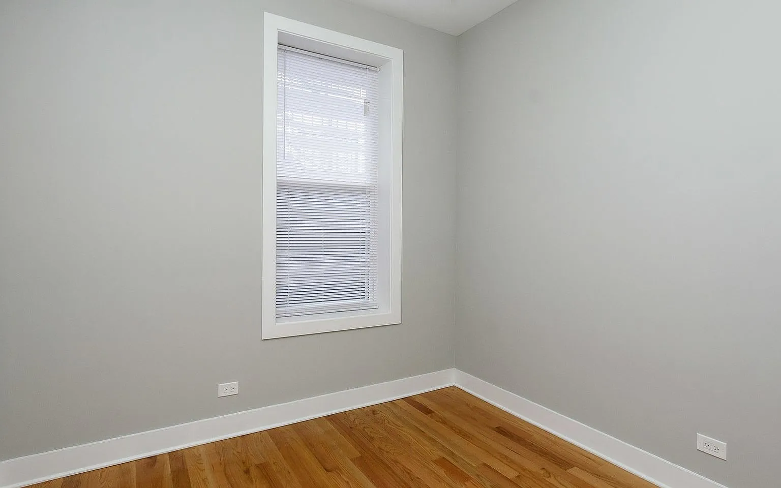 Very Spacious, Top Floor 1bd/1bth Ukrainian Village, Available Now! — Photo 3