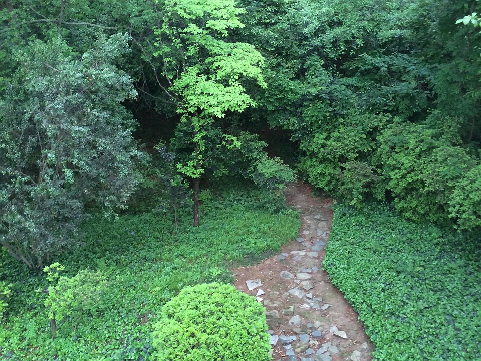 2nd image of 16-731 Wao Kele Rd