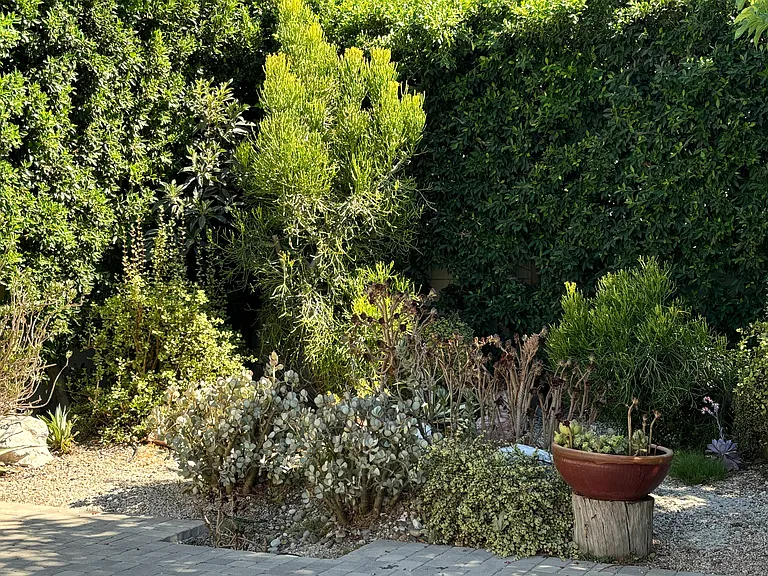 22024 Velicata St — Photo 19