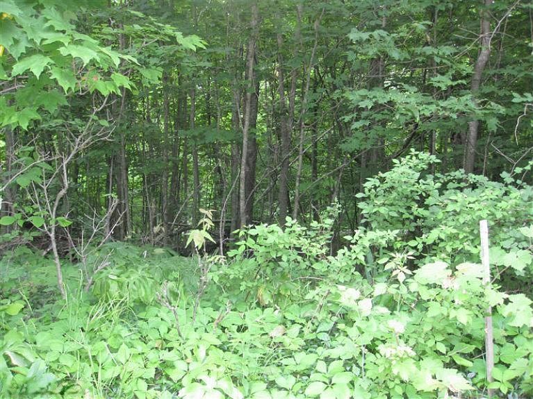 1st image of Orchard Lake Dr