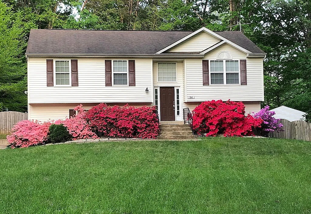 56 Boundary Dr photo 1