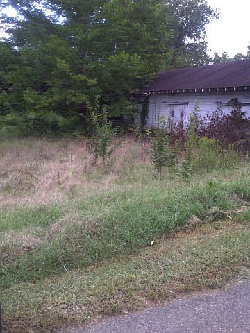 2nd image of 1374 8th St
