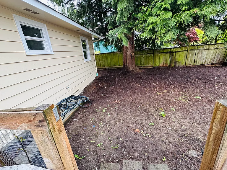 Large backyard