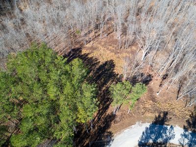 2340 Bear Hollow Dr, Waverly, TN, 37185