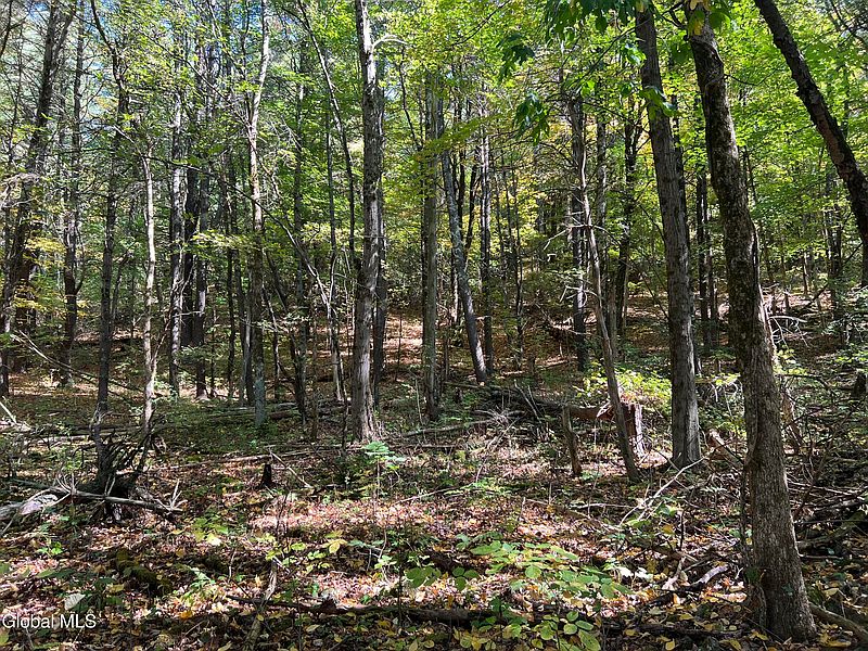 2nd image of 87 Bulson Road