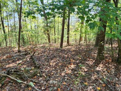 LOT 1699 Shade Tree Dr, Talking Rock, GA, 30175