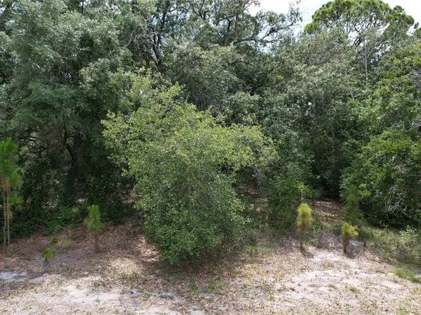 1008 Wildflower St Lot 35, Lake Placid, FL 33852