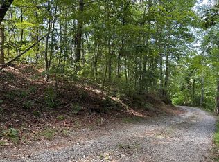 55 Eagles Nest Ln, Blue Ridge, GA 30513