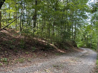 55 Eagles Nest Ln, Blue Ridge, GA, 30513