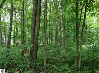 0 S Taxiway King, Lake City, MI 49651