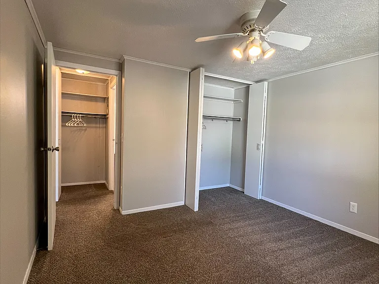 Treeborn Apartments — Photo 34